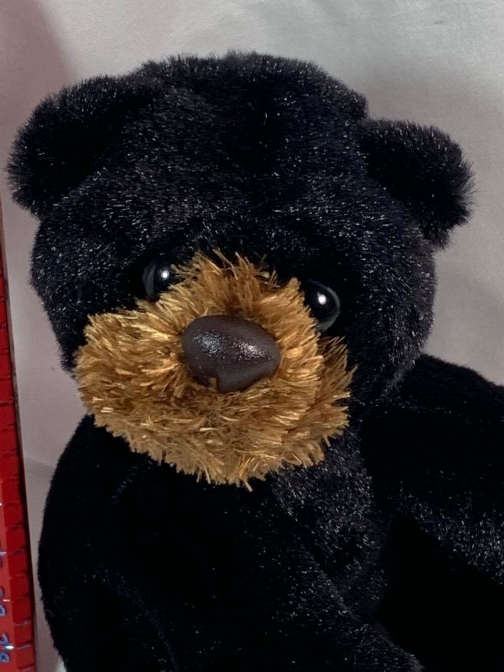 Aurora World Bear Cub Plush 5" Black Brown Bean Bag Sitting Down